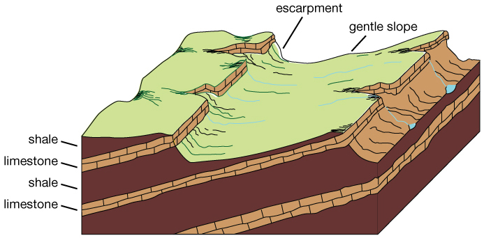 Illustration of cuesta topography.