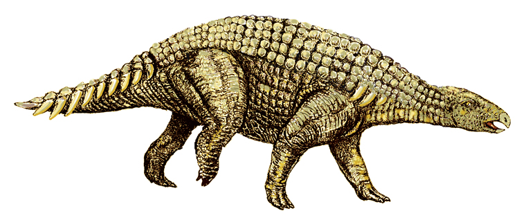 Silvisaurus illustration.