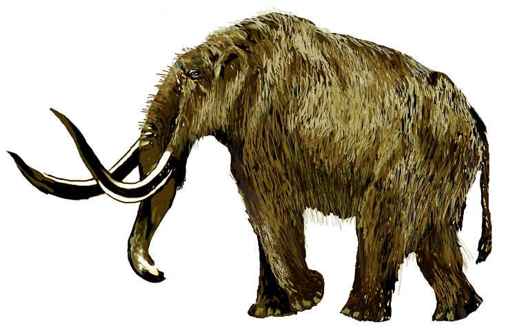 Mastodon illustration