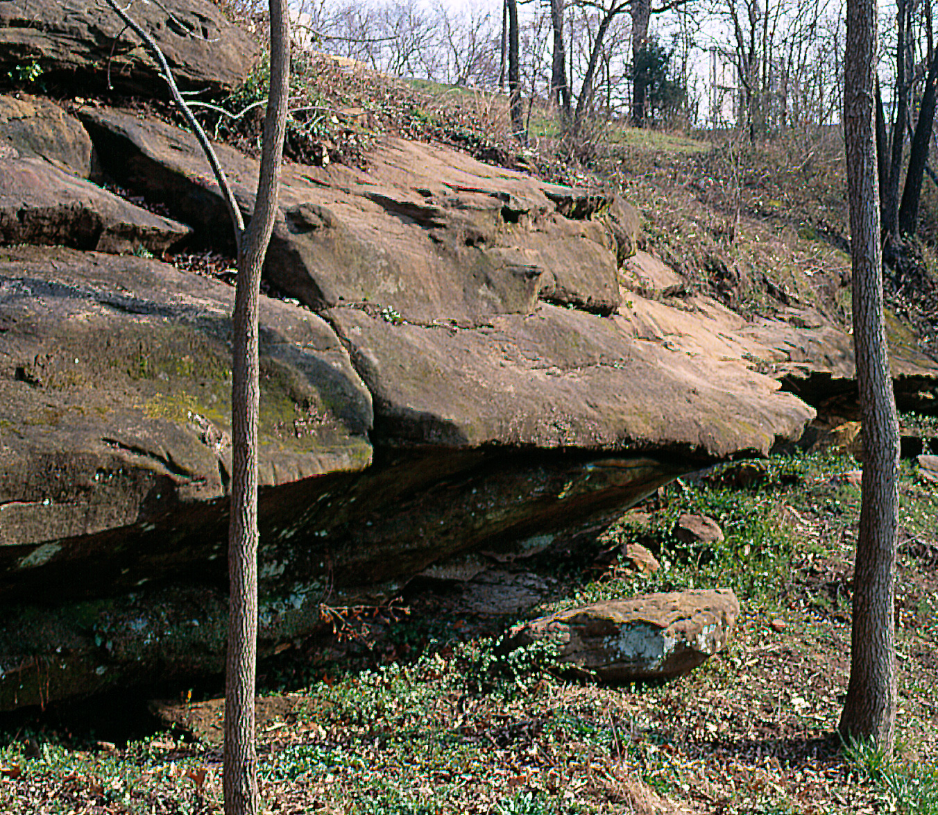 Outcrop of typical Chautauqua Hills sandstone at The Hollow, a city park in Sedan, Kansas.