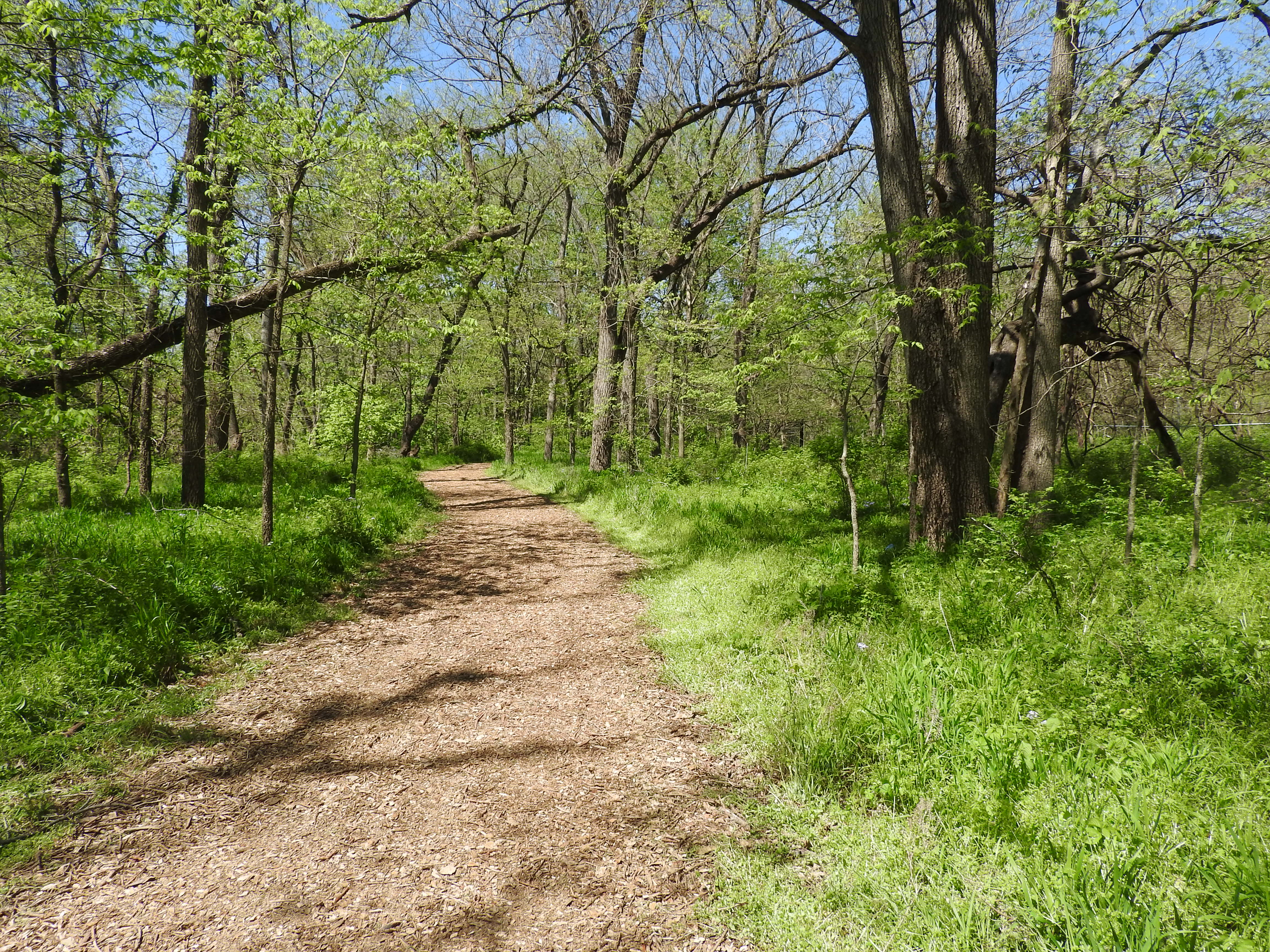 Rocky Ridge Trail at Overland Park Arboretum.