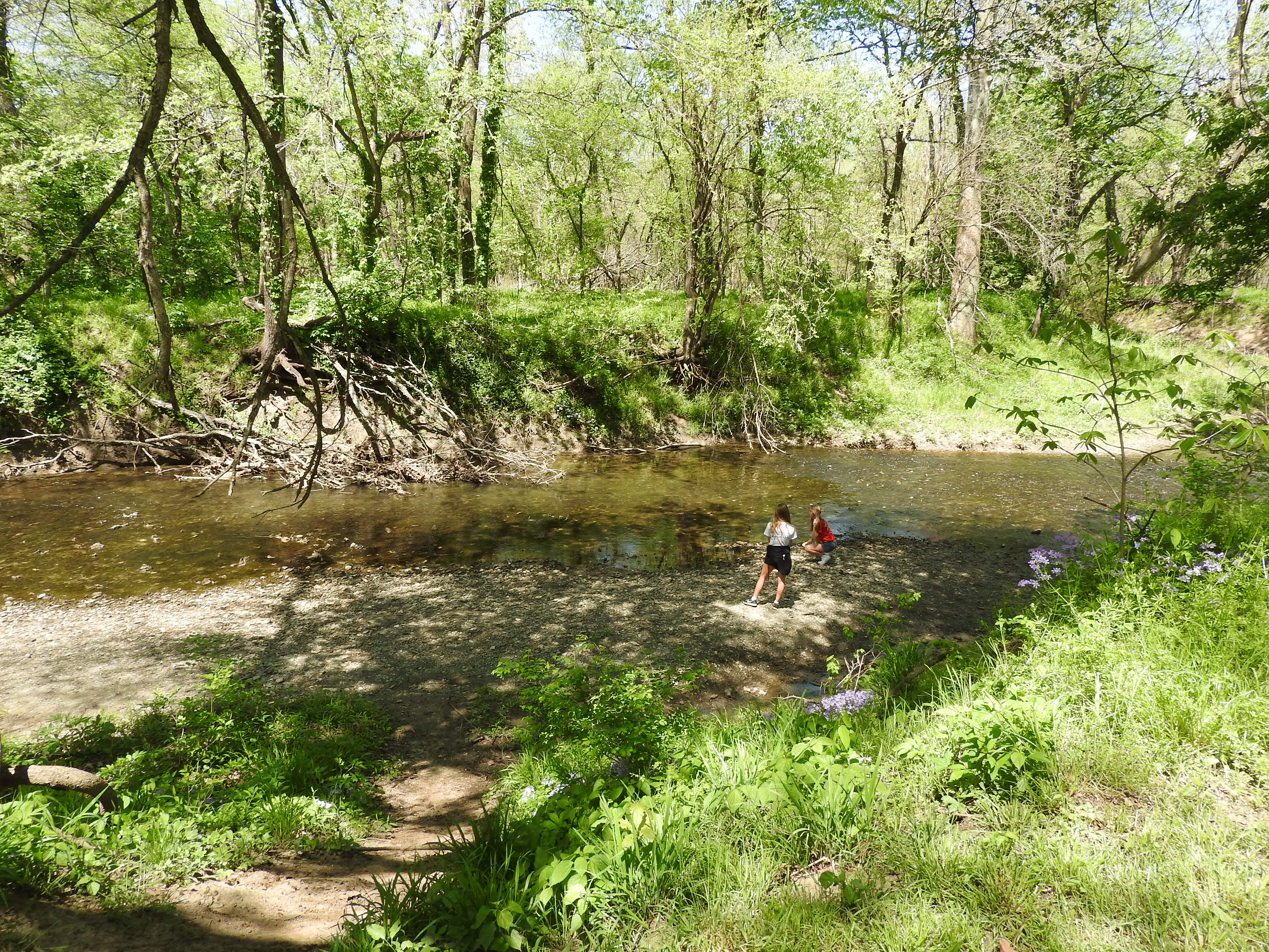 Wolf Creek at Overland Park Arboretum.