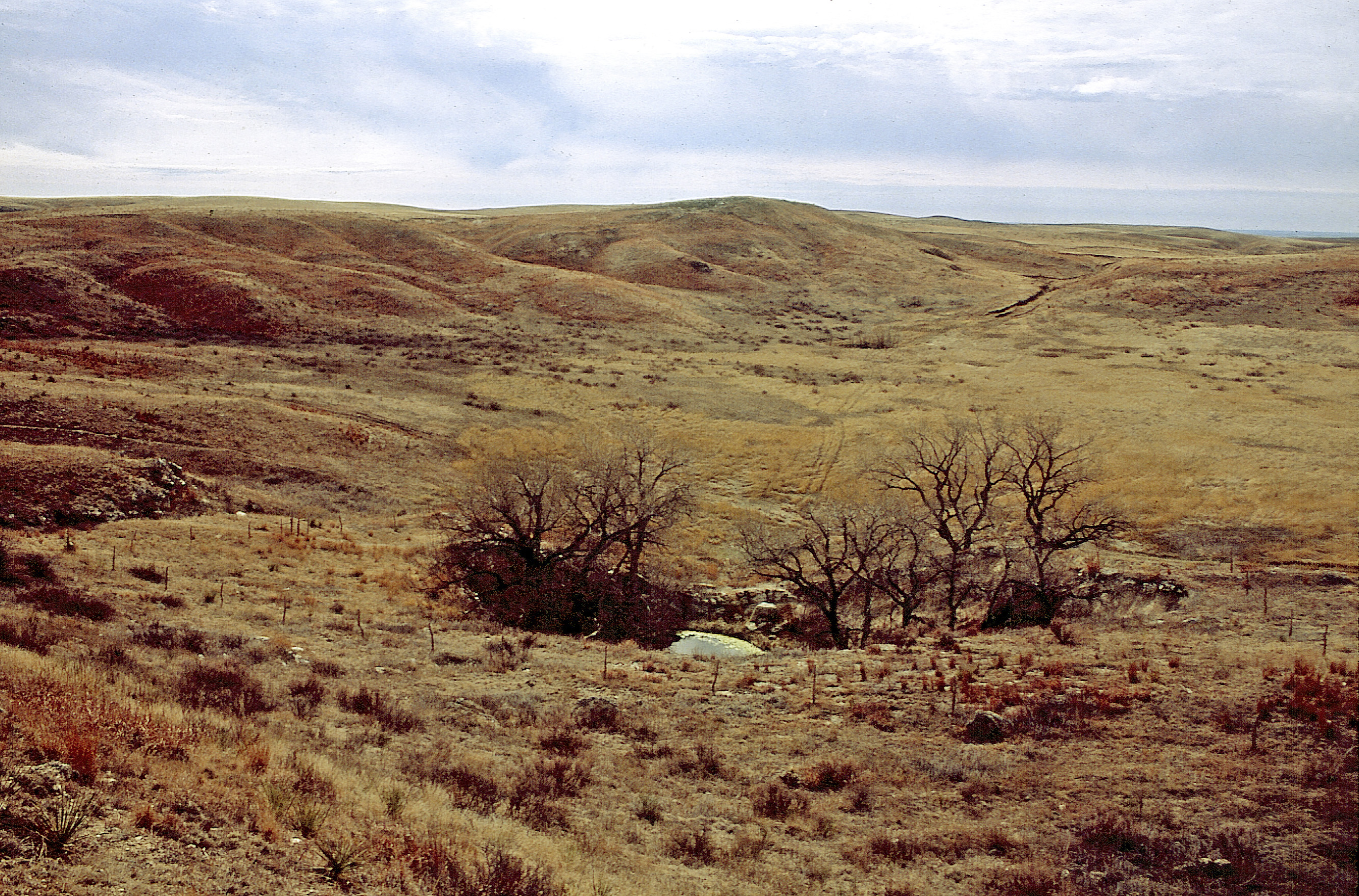 Little Basin with St. Jacob's Well in center, Clark County.
