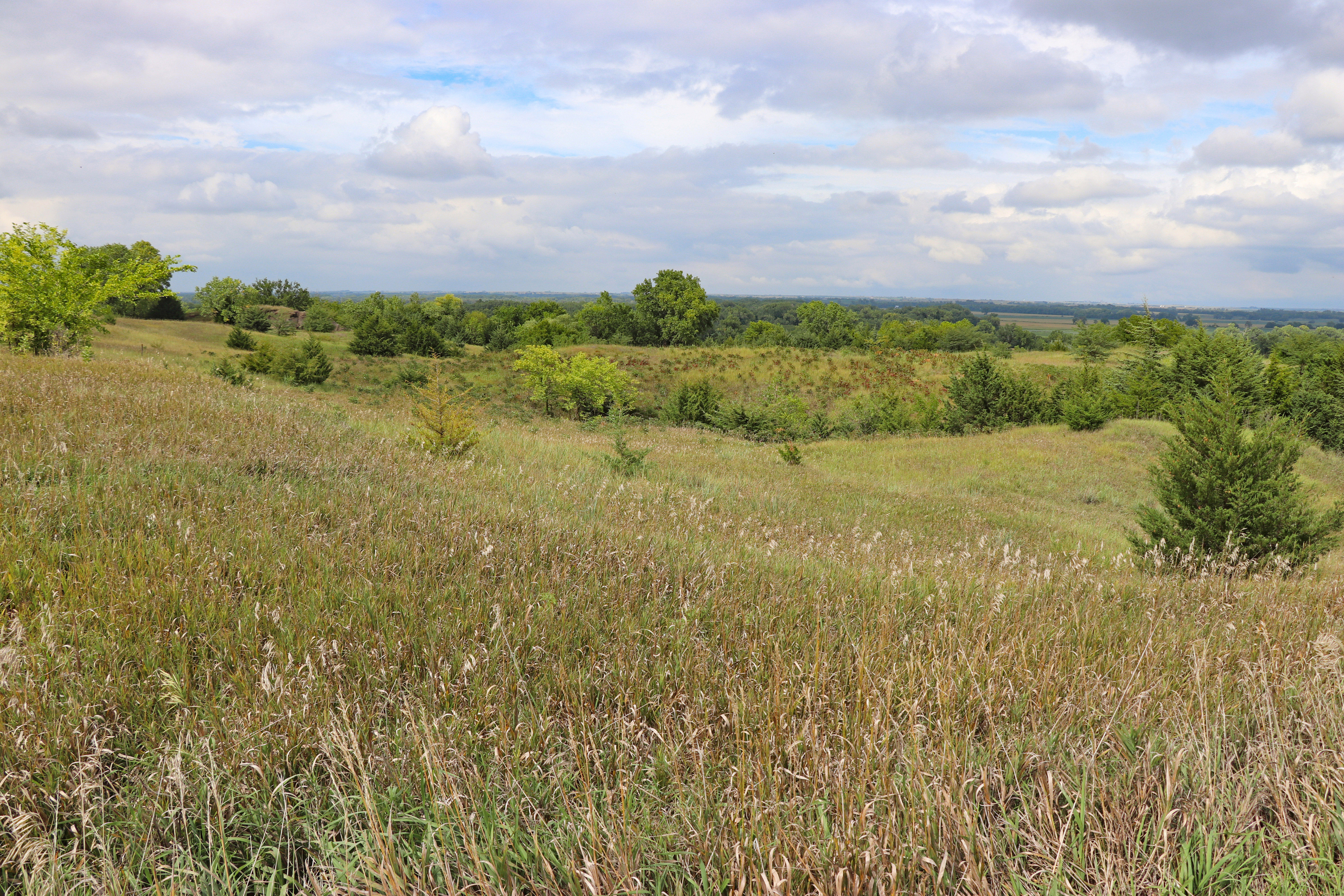 Low, rolling loess hills by the Pawnee Indian Museum.