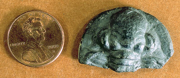 Fossil trilobite Ameura head