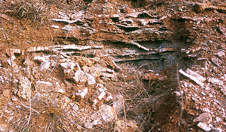 Gypsum outcrop in Clark County