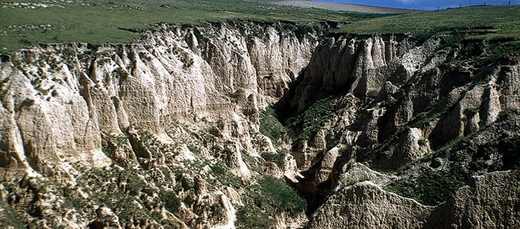 Loess canyon, Cheyenne County.