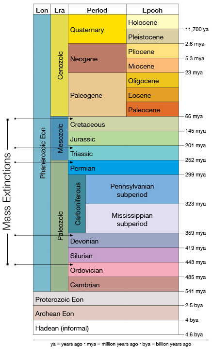 Geologic time scale with mass extinctions marked
