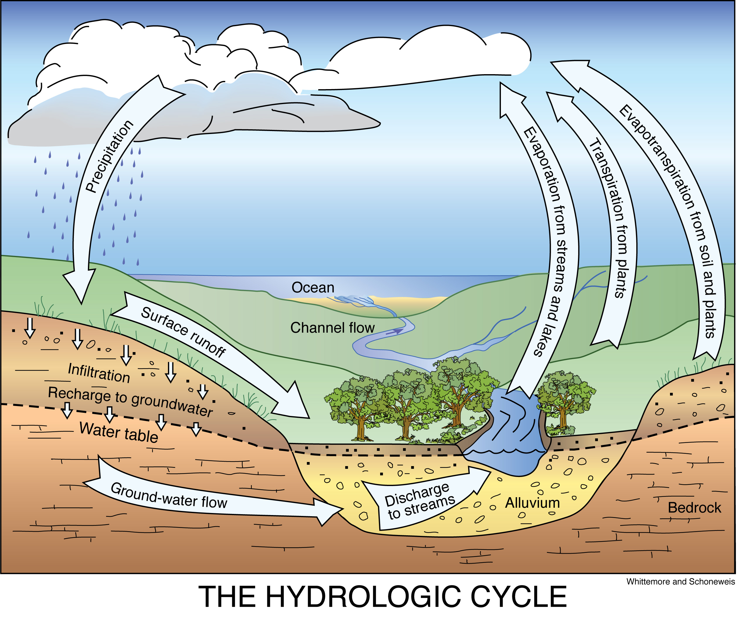 Diagram Water cycle Nature Drawing Illustration, Atmosphere s, world, water  Resources, water png | PNGWing