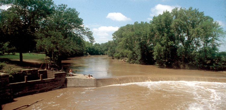 "Cottonwood trees along the Cottonwood River, Chase County"