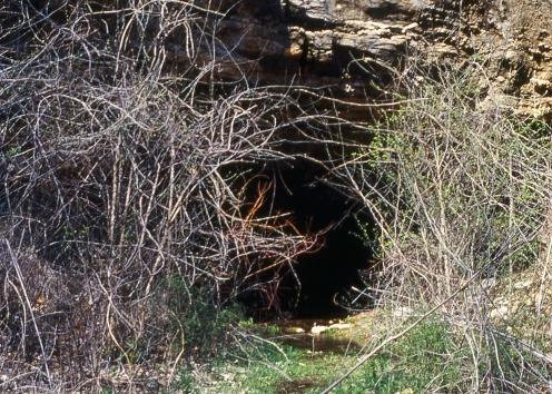 Cave entrance