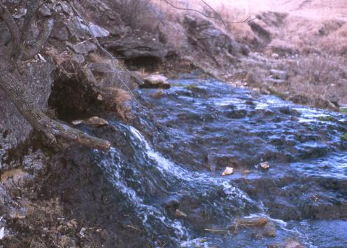 Jack Spring in Chase County