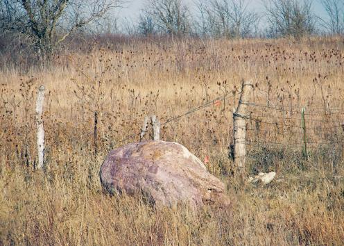 Quartzite boulder