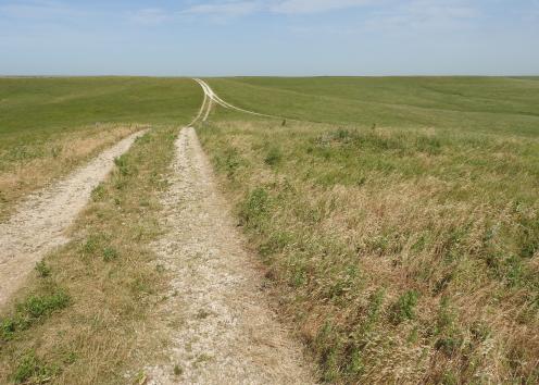 Trail through prairie