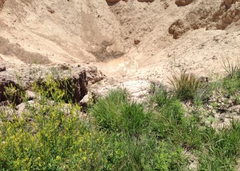 Sinkhole
