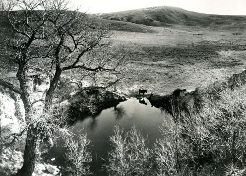 Horse and rider beside water-filled sinkhole