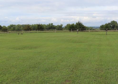 Earth-lodge depressions on grounds outside the Pawnee Indian Museum.