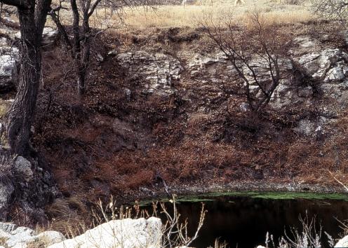 Sinkhole within a larger sinkhole
