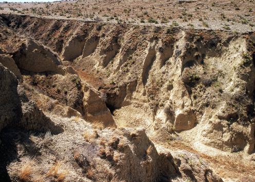 Near vertical wall of loess at Arikaree Breaks