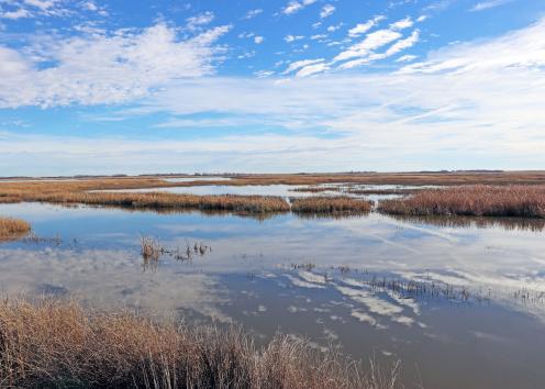 Wetlands at Cheyenne Bottoms