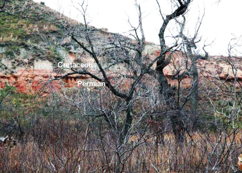Boundary between light-colored Cretaceous rocks and red Permian rocks