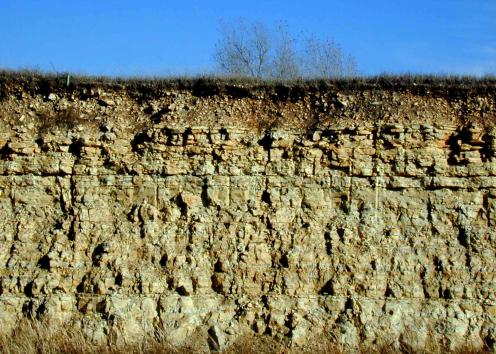 Limestone road cut
