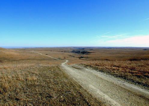 Dirt path winding through prairie and rolling hills