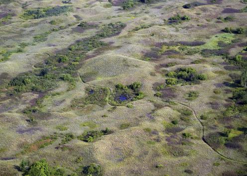 Aerial view of sand dunes