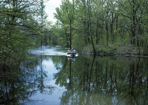 People in boat on tree-lined waterway