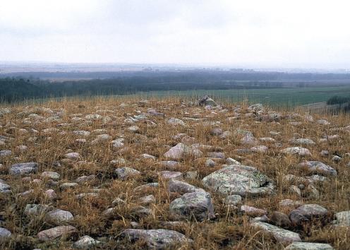 Boulders cover field