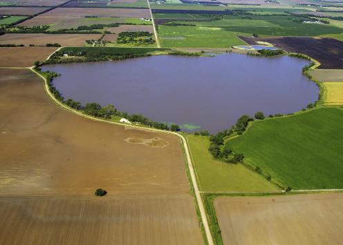 Small lake surrounded by agricultural fields